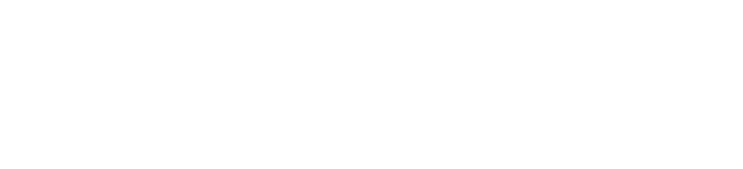 MSc Educational Sciences: Special Education